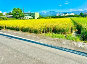 永慶許書豪★近廣興足坪美農地生活好地方