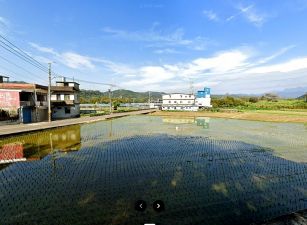 新竹縣關西坪林國小建加農 (角地)