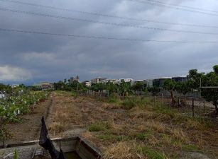 土地珠寶專才💰土地抗通膨資產配置首選｜高雄大寮938萬農地
