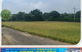 龍潭大坪數平坦農地