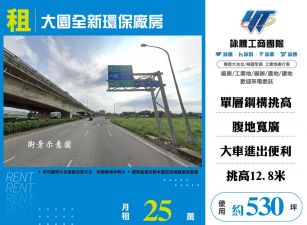大園全新環保廠房149