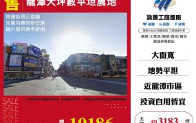 龍潭大坪數平坦農地