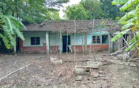 左鎮行政中心有建地平房有農地