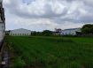 🌱【大寮核心發展地段】近溪寮・後庄・都計內方正農地 🌱
