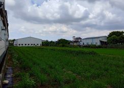 🌱【大寮核心發展地段】近溪寮・後庄・都計內方正農地 🌱