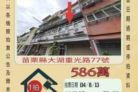 大湖國小透天-8/13開標