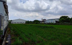 🌱【大寮核心發展地段】近溪寮・後庄・都計內方正農地 🌱
