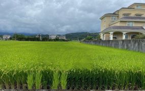 永慶許書豪★近安農溪大面寬雙面路足坪農地
