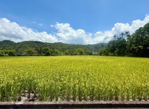 永慶許書豪★安農溪第二排田心846美農地