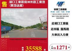 湖口工業區旁30米路工業地(買地送廠)