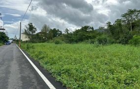 永慶許書豪★山明水秀雙面路大面寬免填土農地