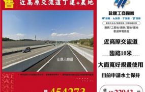 近高原交流道丁建+農地