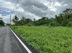 永慶許書豪★山明水秀雙面路大面寬免填土農地