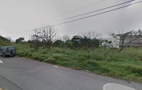 12米路草漯建地