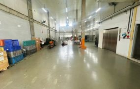 樹林工業區/挑高7米/可廠登/廠房 •    新北市廠房工業地買賣/建地/徵收農地/廠房出租