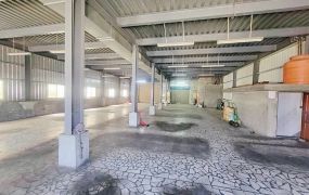 南樹林/臨20米路/可廠登/廠房 •    新北市廠房工業地買賣/建地/徵收農地/廠房出租