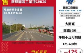 康郡園區工業地C29C30