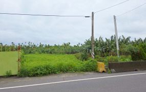潮州綠隧旁10米路農地，離塵不離城的幸福
