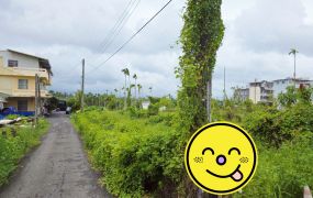 內埔美和中學農地244坪，大路邊前後有路打造您的夢想莊園地