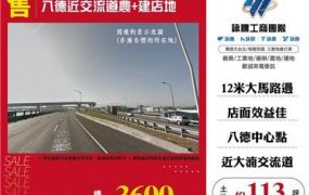 八德近交流道農+建店地