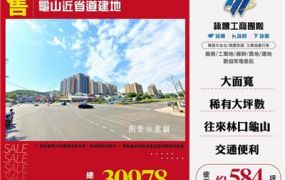 龜山近省道建地