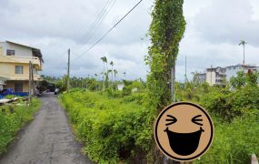 內埔美和中學農地90坪，大路邊超寬臨路，未來的黃金店面！