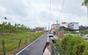 【內埔美和中學農地153坪，寧靜幽靜的巷子裡，為自己預約一片無價的寧靜時光吧！】