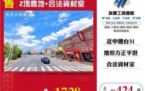 2塊農地+合法資材室