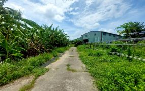 台南玉井竹圍2.4甲優質農地