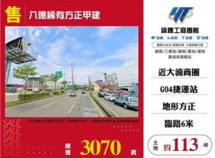 八德稀有方正甲建