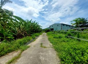 台南玉井竹圍2.4甲優質農地
