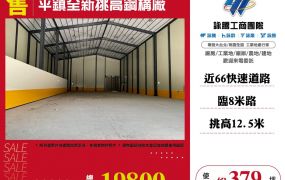 平鎮嶄新挑高鋼構廠