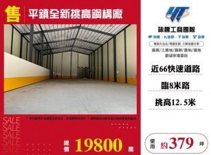 平鎮嶄新挑高鋼構廠