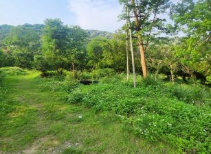 【售】湖口大面寬8米路一般農