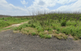 馬公市山水里一般農，地土地完整，環境優美