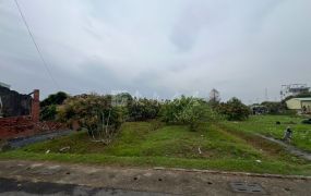 🌳 善化東勢寮．夢想土地0908-040999