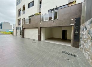 ☆總安街全新孝親雙車墅(一)