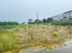 嘉義市育人路旁小筆農地