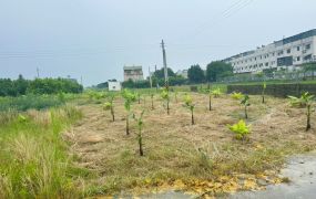 嘉義市育人路旁小筆農地