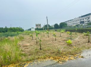 嘉義市育人路旁小筆農地