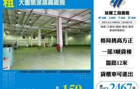 大園氣派挑高廠房