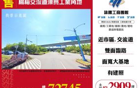 楊梅交流道漂亮工業角地