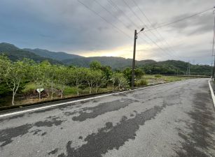 永慶許書豪★三星低於公告現值美農地