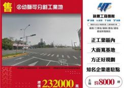正幼獅可分割工業地