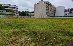 土地珠寶專才【仁武特定區稀有整體開發建地】三面臨路・可申請容積獎勵・整合式造鎮首選