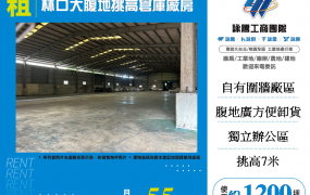 林口大腹地挑高倉庫廠房