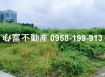 高雄大學旁美農地