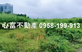 高雄大學旁美農地