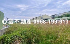 湖內省道上可投資美農地