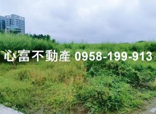 高雄大學旁美農地